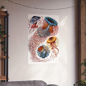 3258957922412729463_2048-1.jpeg Jellyfish (Discomedusae), Kunstformen der Natur – Ernst Haeckel (1904) – Natural History Poster Print