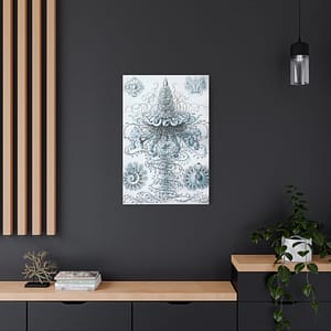 3378449143921391143_2048-1.jpeg Siphonophorae, Kunstformen der Natur, plate 37 – Ernst Haeckel (1904) – Natural History Canvas Print