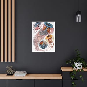 4150397393271730873_2048-1.jpeg Jellyfish (Discomedusae), Kunstformen der Natur – Ernst Haeckel (1904) – Natural History Canvas Print