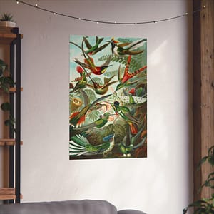 8888828272459497299_2048-1.jpeg Hummingbirds (Trochilidae), Kunstformen der Natur – Ernst Haeckel (1904) – Natural History Poster Print