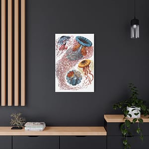 10620148968226602436_2048.jpeg Jellyfish (Discomedusae), Kunstformen der Natur – Ernst Haeckel (1904) – Natural History Canvas Print