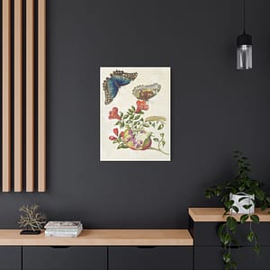 11434491885354598762_2048.jpeg Metamorphosis Insectorum Surinamensium, plate 9 – Maria Sibylla Merian (1705) – Natural History Canvas Print