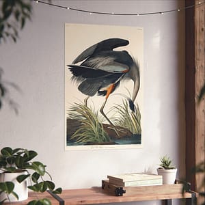 13284694396844415140_2048-1.jpeg Great Blue Heron, Birds of America – John James Audubon (1834) – Natural History Poster Print