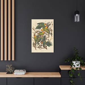17551117791398328518_2048.jpeg Carolina Parakeet, Birds of America – John James Audubon (1828) – Natural History Canvas Print