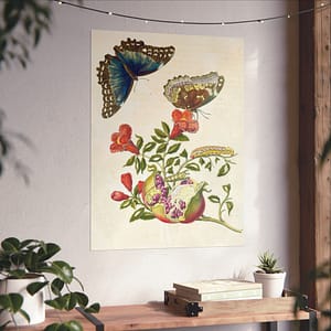 6665241864081533614_2048.jpeg Metamorphosis Insectorum Surinamensium, plate 9 – Maria Sibylla Merian (1705) – Natural History Poster Print