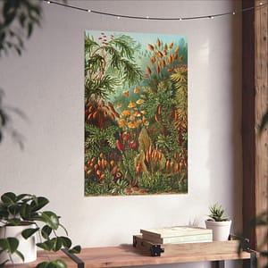 9031661253522930272_2048.jpeg Mosses (Muscinae), Kunstformen der Natur – Ernst Haeckel (1904) – Botanical Poster Print