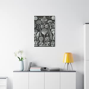 9356139726296072110_2048.jpeg Mycetozoa, Kunstformen der Natur, plate 93 – Ernst Haeckel (1904) – Natural History Canvas Print