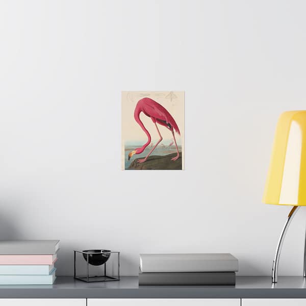 10070839953797386583_2048-1.jpeg American Flamingo, Birds of America – John James Audubon (1838) – Natural History Poster Print