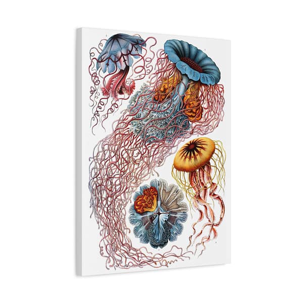 10241519258907236060_2048-1.jpeg Jellyfish (Discomedusae), Kunstformen der Natur – Ernst Haeckel (1904) – Natural History Canvas Print