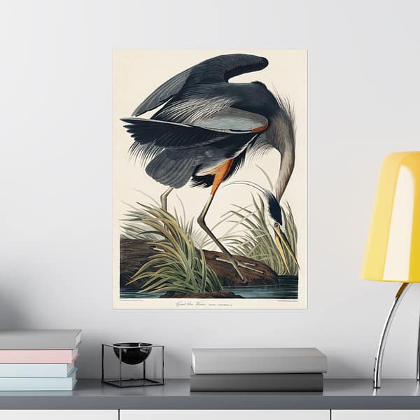10270645890052762317_2048-1.jpeg Great Blue Heron, Birds of America – John James Audubon (1834) – Natural History Poster Print