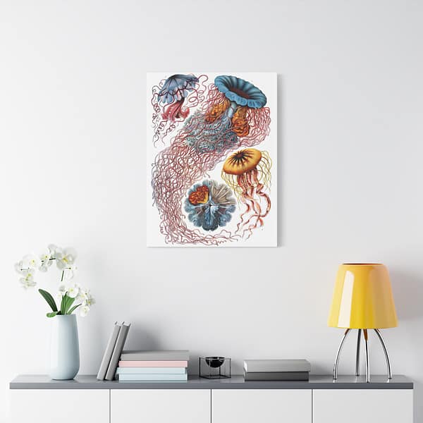 10558002563222492877_2048-1.jpeg Jellyfish (Discomedusae), Kunstformen der Natur – Ernst Haeckel (1904) – Natural History Canvas Print
