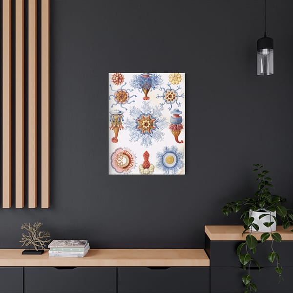 10995017023664791410_2048-1.jpeg Siphonophorae, Kunstformen der Natur, plate 17 – Ernst Haeckel (1904) – Natural History Canvas Print