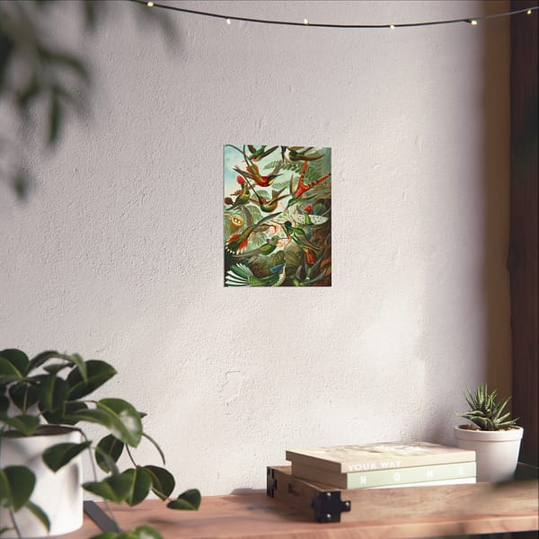 11338244658388979900_2048-1.jpeg Hummingbirds (Trochilidae), Kunstformen der Natur – Ernst Haeckel (1904) – Natural History Poster Print