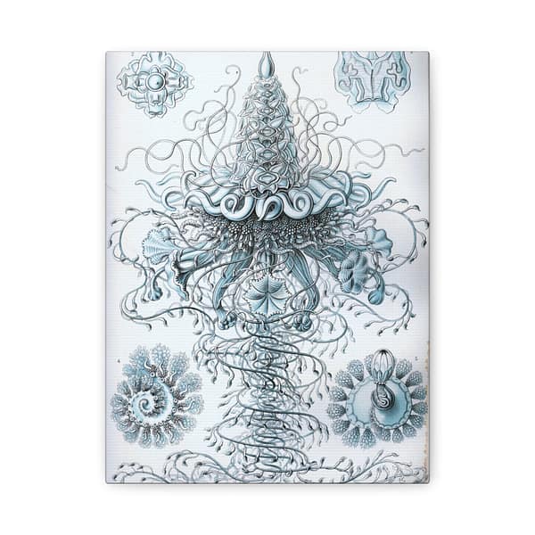 11446448001984423834_2048-1.jpeg Siphonophorae, Kunstformen der Natur, plate 37 – Ernst Haeckel (1904) – Natural History Canvas Print