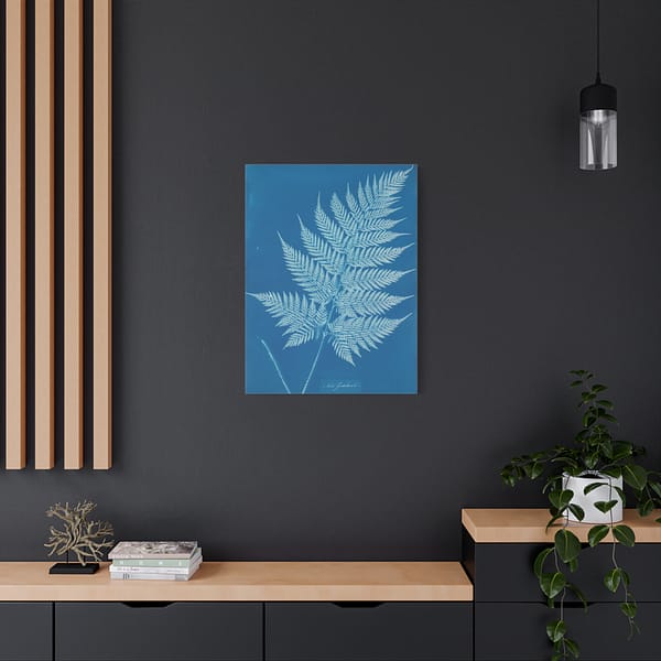 11697023907032972195_2048-1.jpeg New Zealand Cyanotype – Anna Atkins (c. 1853-54) – Botanical Canvas Print