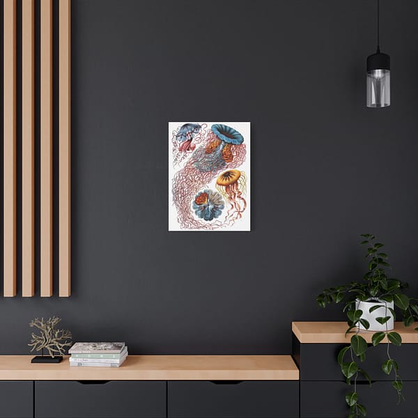 12339119278906120244_2048-1.jpeg Jellyfish (Discomedusae), Kunstformen der Natur – Ernst Haeckel (1904) – Natural History Canvas Print