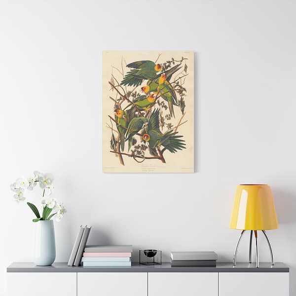 12616322812247533172_2048-1.jpeg Carolina Parakeet, Birds of America – John James Audubon (1828) – Natural History Canvas Print