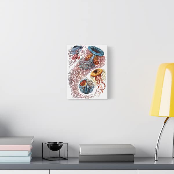 13040876468601646796_2048-1.jpeg Jellyfish (Discomedusae), Kunstformen der Natur – Ernst Haeckel (1904) – Natural History Canvas Print