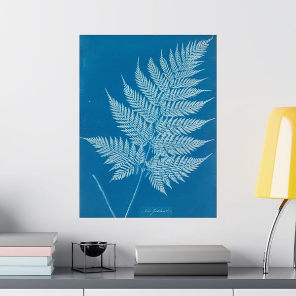 1390631655473421427_2048-1.jpeg New Zealand Cyanotype – Anna Atkins (c. 1853-54) – Botanical Poster Print