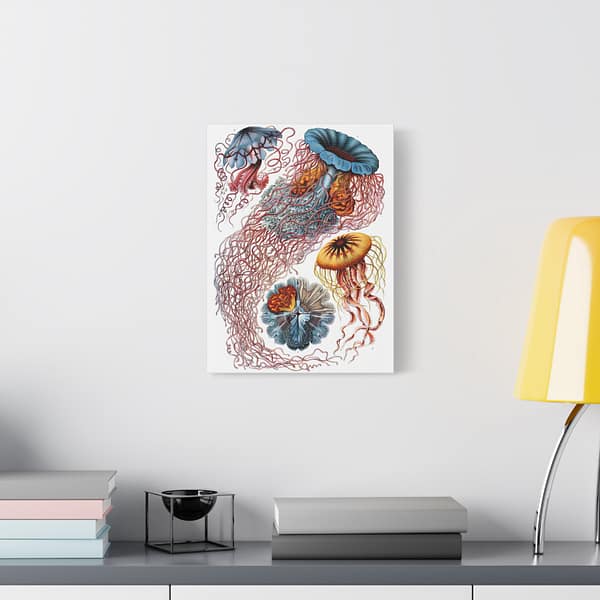 14228260226980461946_2048-1.jpeg Jellyfish (Discomedusae), Kunstformen der Natur – Ernst Haeckel (1904) – Natural History Canvas Print