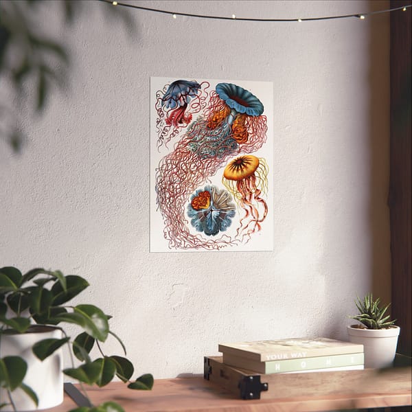 14261949262960625354_2048-1.jpeg Jellyfish (Discomedusae), Kunstformen der Natur – Ernst Haeckel (1904) – Natural History Poster Print
