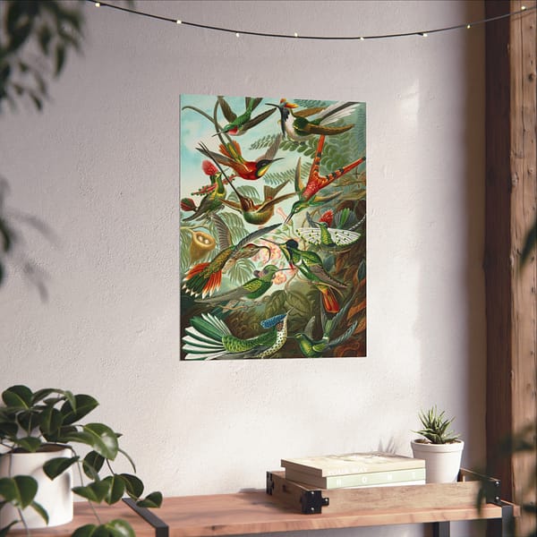 14640135511332294499_2048-1.jpeg Hummingbirds (Trochilidae), Kunstformen der Natur – Ernst Haeckel (1904) – Natural History Poster Print