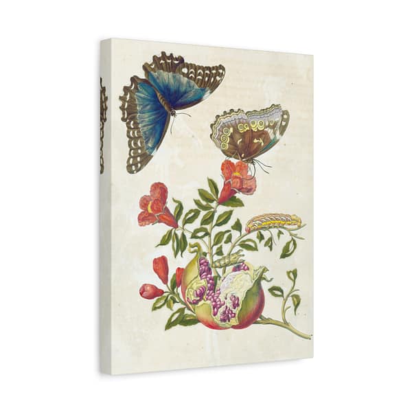15245485224530371990_2048-1.jpeg Metamorphosis Insectorum Surinamensium, plate 9 – Maria Sibylla Merian (1705) – Natural History Canvas Print