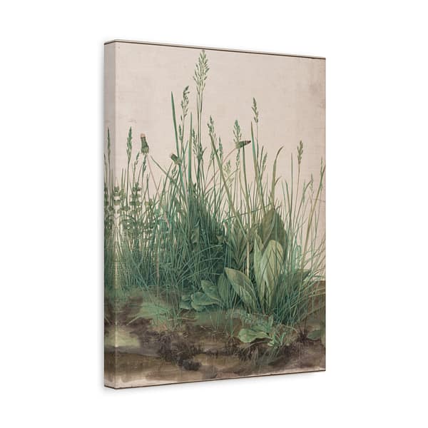 15737647046166266484_2048-1.jpeg The Great Piece of Turf – Albrecht Dürer (1503) – Botanical Canvas Print