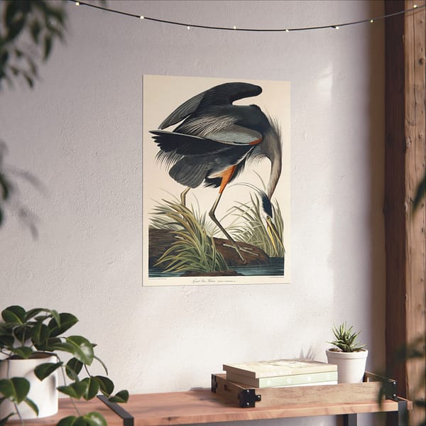 15852080491859511403_2048-1.jpeg Great Blue Heron, Birds of America – John James Audubon (1834) – Natural History Poster Print