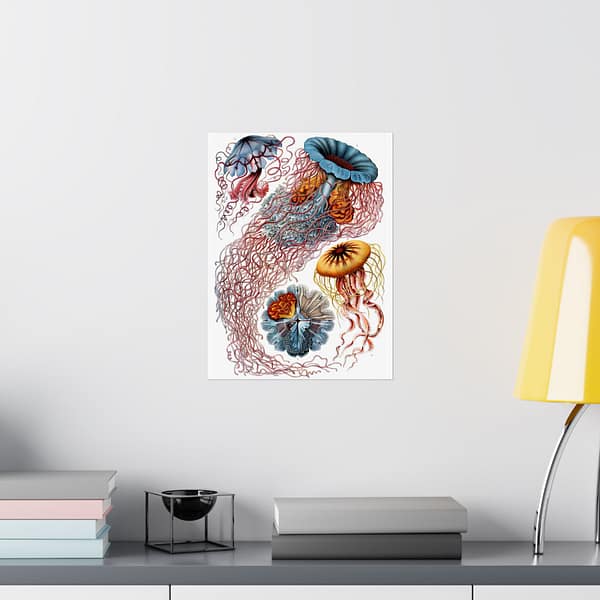 16361396684436891274_2048-1.jpeg Jellyfish (Discomedusae), Kunstformen der Natur – Ernst Haeckel (1904) – Natural History Poster Print