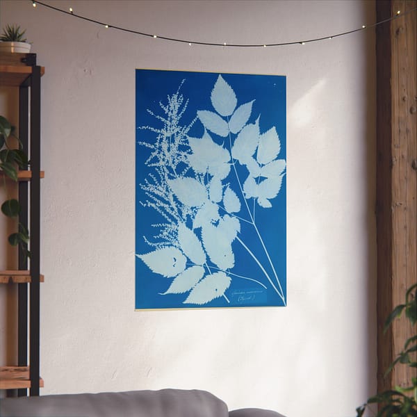 16418854208124046186_2048-1.jpeg Spiraea aruncus (Tyrol) Cyanotype – Anna Atkins (c. 1851-54) – Botanical Poster Print