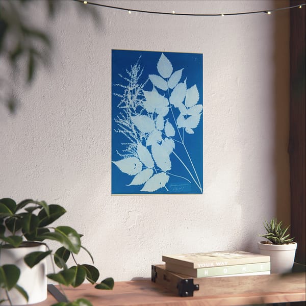 17393731433281863382_2048-1.jpeg Spiraea aruncus (Tyrol) Cyanotype – Anna Atkins (c. 1851-54) – Botanical Poster Print