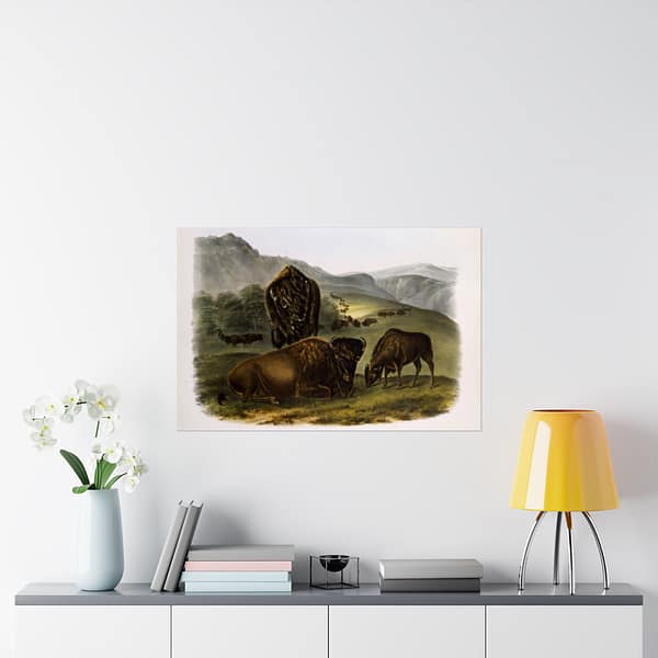 18075409184041245429_2048-1.jpeg Bos Americanus, American Bison or Buffalo, plate 57 – John James Audubon (1845) – Natural History Poster Print