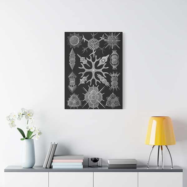 2129771672089080925_2048-1.jpeg Spumellaria, Kunstformen der Natur, plate 91 – Ernst Haeckel (1904) – Natural History Canvas Print