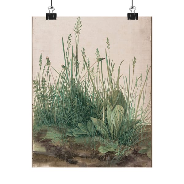 2337605279357620614_2048-1.jpeg The Great Piece of Turf – Albrecht Dürer (1503) – Botanical Poster Print