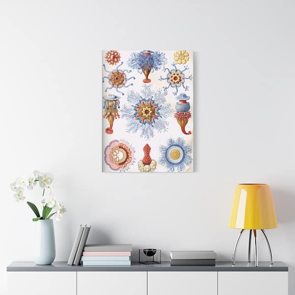 2834159409075428432_2048-1.jpeg Siphonophorae, Kunstformen der Natur, plate 17 – Ernst Haeckel (1904) – Natural History Canvas Print