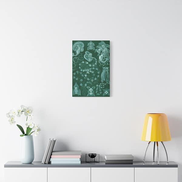 3195302891364154441_2048-1.jpeg Siphonophorae, Kunstformen der Natur, plate 77 – Ernst Haeckel (1904) – Natural History Canvas Print