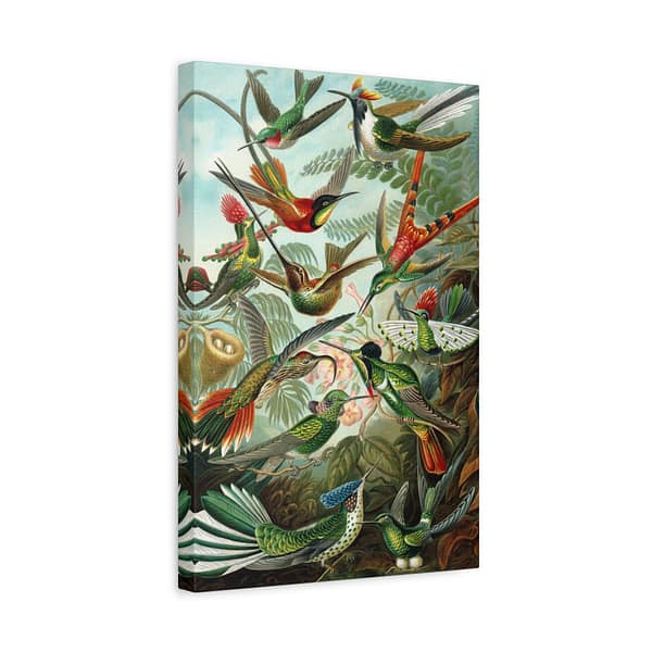 3251735634935335811_2048-1.jpeg Hummingbirds (Trochilidae), Kunstformen der Natur – Ernst Haeckel (1904) – Natural History Canvas Print