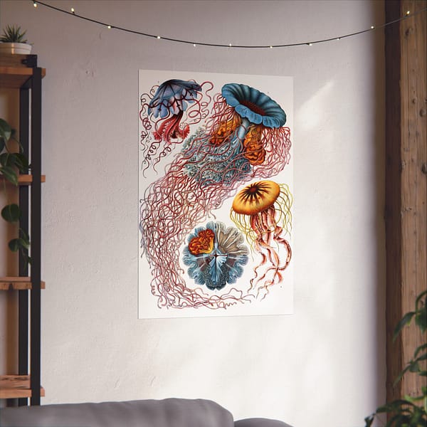 3258957922412729463_2048-1.jpeg Jellyfish (Discomedusae), Kunstformen der Natur – Ernst Haeckel (1904) – Natural History Poster Print