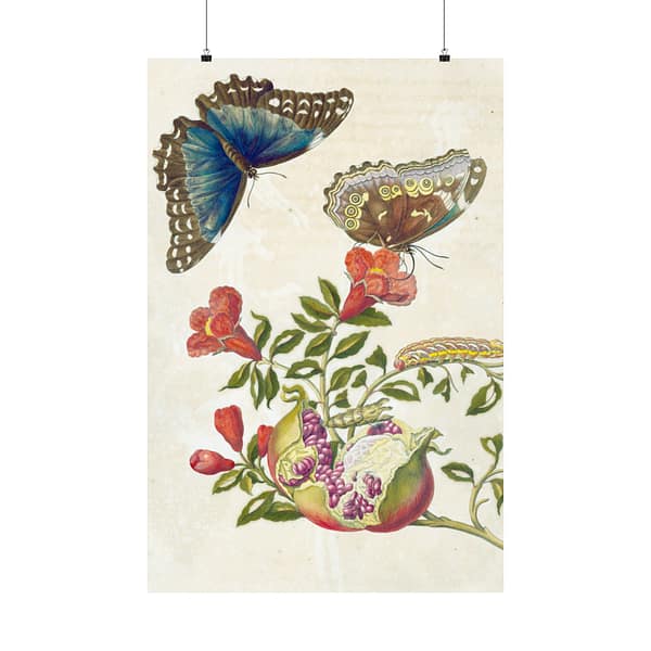 336260285316596158_2048-1.jpeg Metamorphosis Insectorum Surinamensium, plate 9 – Maria Sibylla Merian (1705) – Natural History Poster Print