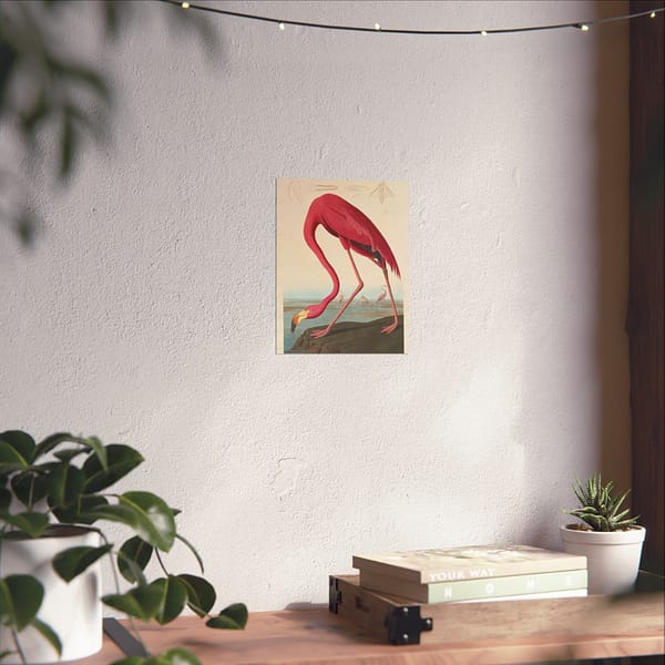 3502339724954139231_2048-1.jpeg American Flamingo, Birds of America – John James Audubon (1838) – Natural History Poster Print