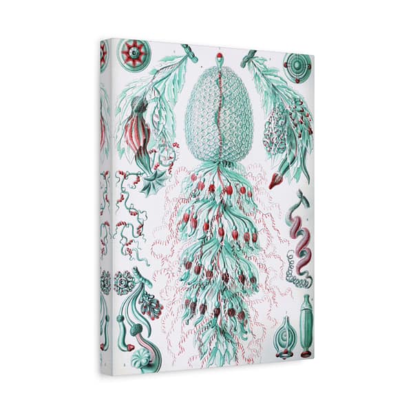 3707522729989508994_2048-1.jpeg Siphonophorae, Kunstformen der Natur, plate 59 – Ernst Haeckel (1904) – Natural History Canvas Print