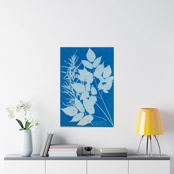 3715146645306108759_2048-1.jpeg Spiraea aruncus (Tyrol) Cyanotype – Anna Atkins (c. 1851-54) – Botanical Poster Print