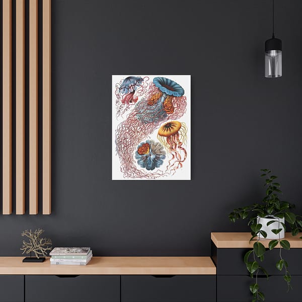 4150397393271730873_2048-1.jpeg Jellyfish (Discomedusae), Kunstformen der Natur – Ernst Haeckel (1904) – Natural History Canvas Print