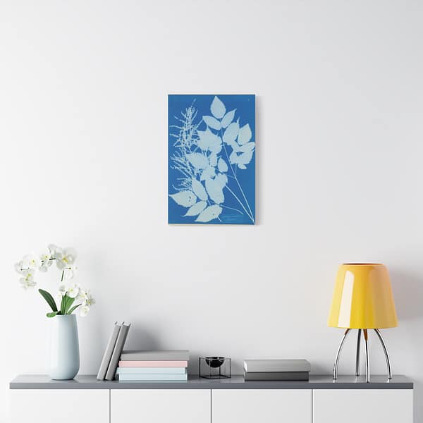 4387369123643911915_2048-1.jpeg Spiraea aruncus (Tyrol) Cyanotype – Anna Atkins (c. 1851-54) – Botanical Canvas Print