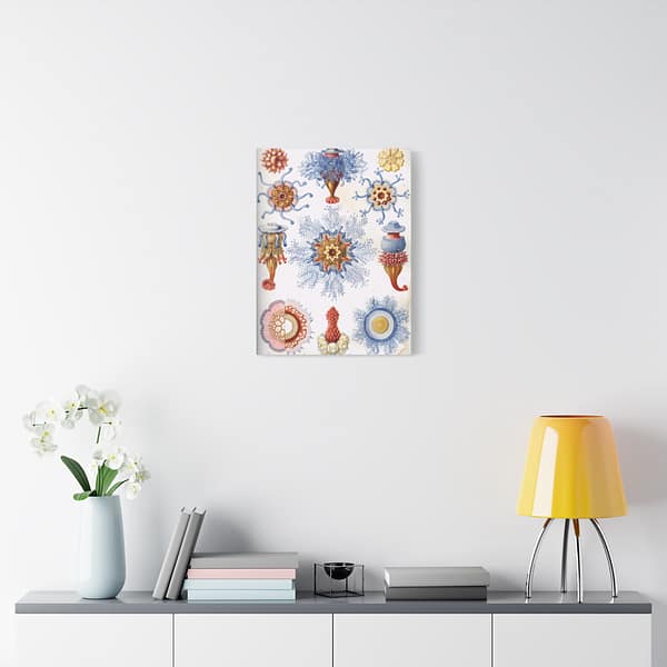 516837849042749219_2048-1.jpeg Siphonophorae, Kunstformen der Natur, plate 17 – Ernst Haeckel (1904) – Natural History Canvas Print