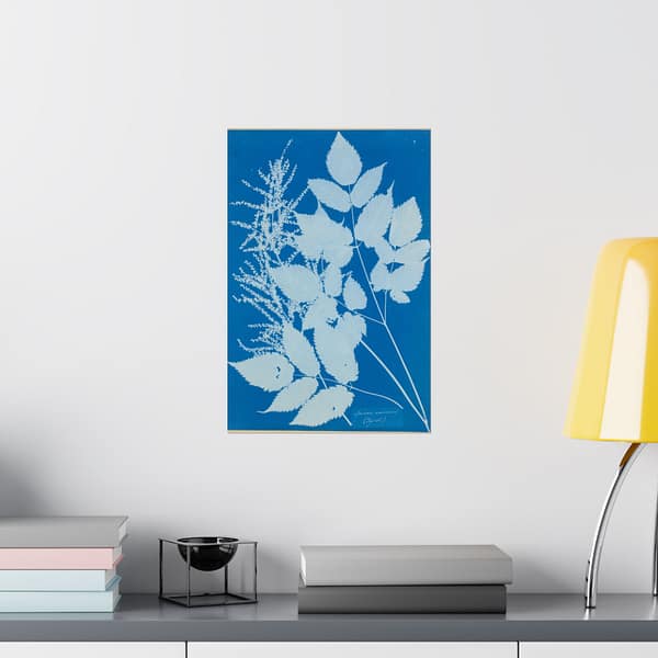 5474512894374426610_2048-1.jpeg Spiraea aruncus (Tyrol) Cyanotype – Anna Atkins (c. 1851-54) – Botanical Poster Print