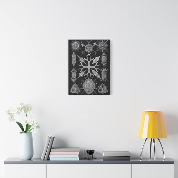 6081298752974381240_2048-1.jpeg Spumellaria, Kunstformen der Natur, plate 91 – Ernst Haeckel (1904) – Natural History Canvas Print