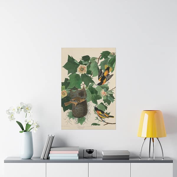 6476268298614058758_2048-1.jpeg Baltimore Oriole, Birds of America – John James Audubon (1827) – Natural History Poster Print