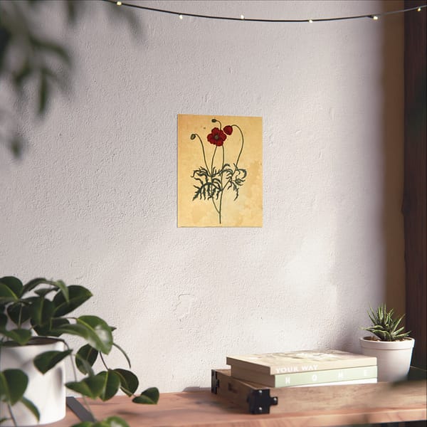 6871213100704518251_2048-1.jpeg Red Poppy (Papaver, rubrum, erraticum, rhoeas), A Curious Herbal – Elizabeth Blackwell (1737) – Botanical Poster Print
